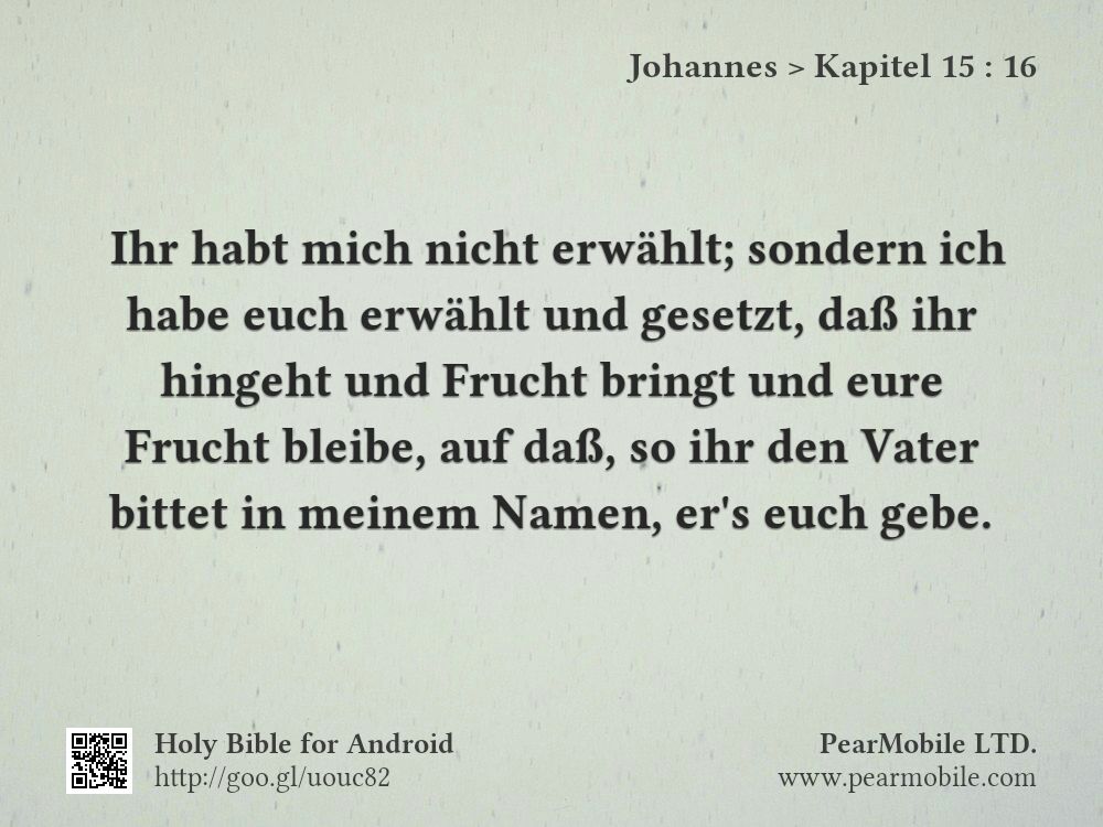 Johannes, Kapitel 15:16